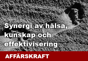 Affärskraft